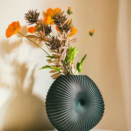 Retro No 7, Cleopatra شقة ألانيا