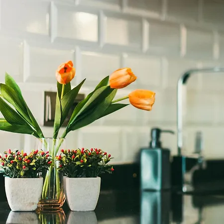 Retro No 7, Cleopatra Alanya